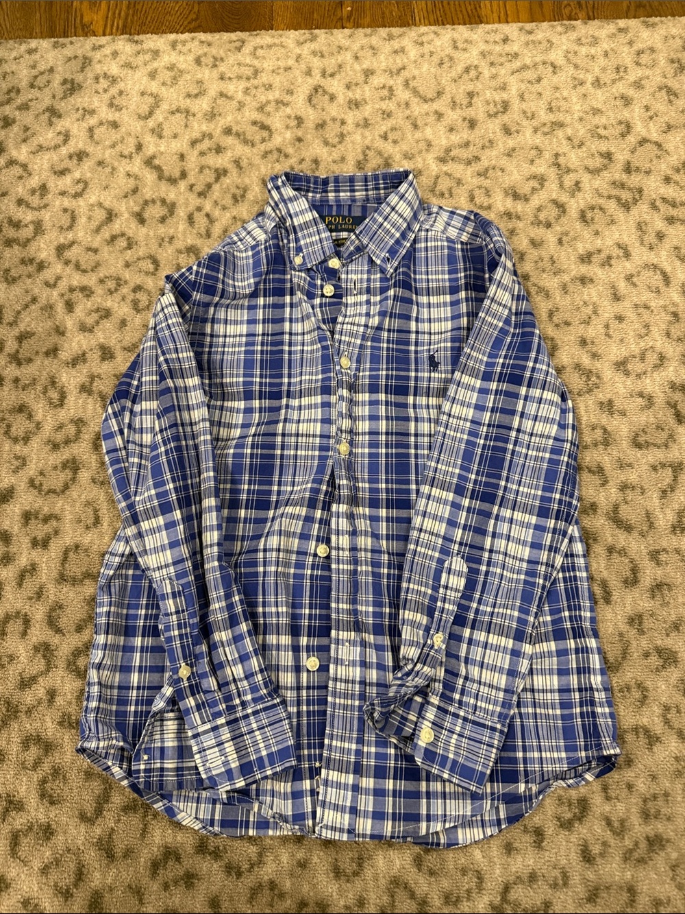Polo by Ralph Lauren Blue & White Plaid Button-Down Shirt